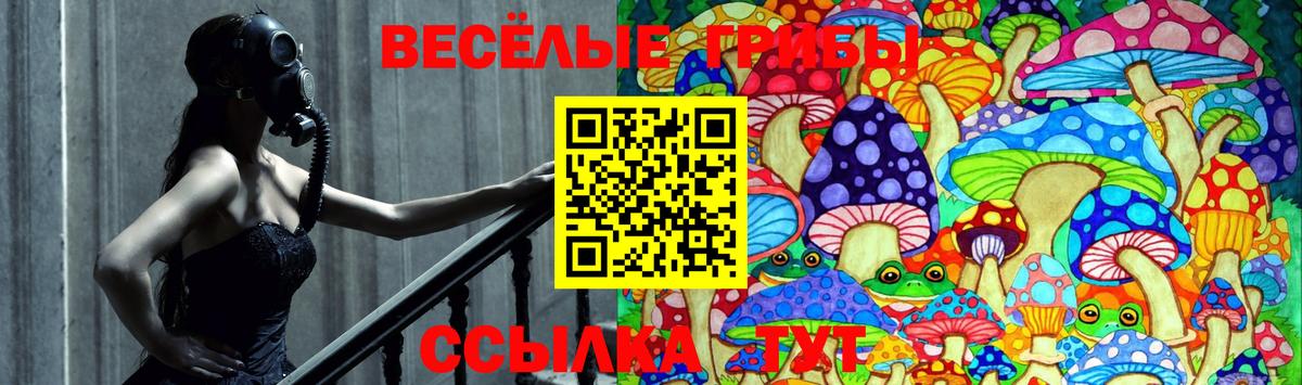 Гуково  Псилоцибиновые грибы мухоморы  Вход с VPN  Псилоцибиновые грибы Cubensis 